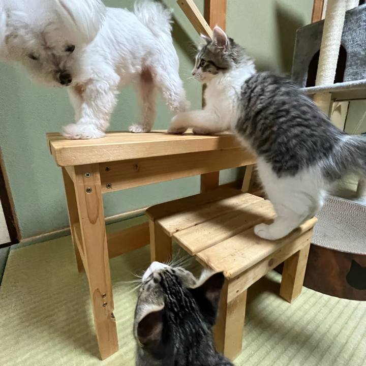 1cc3dc6a cd51 42db 86a5 f40a086642fc 1689121943840