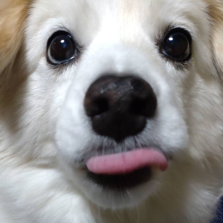 1cc4078d a49d 42fd a482 78e10d6307b0 1652436869171