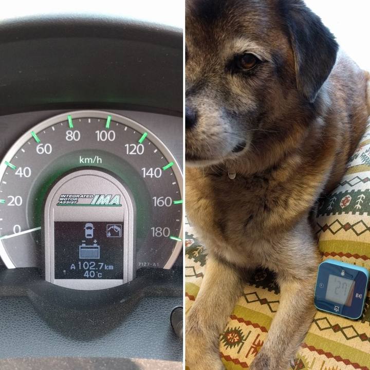 1cc446d5 61b9 423d b7ca 601b36ea233e 1533106646598