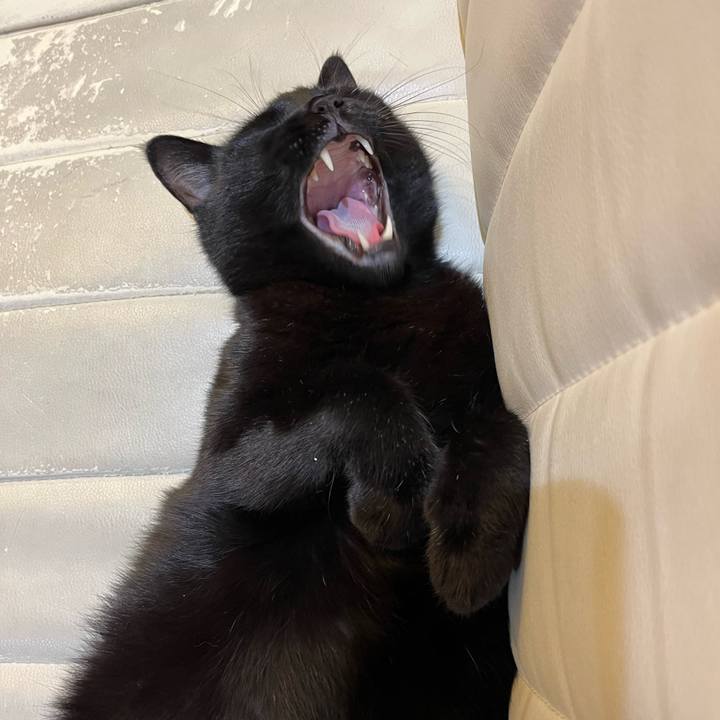 1cc4b8c7 b3d0 4227 82dd 240c27fd7e3c 1695736955042