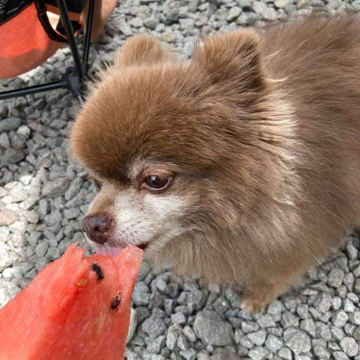 1cc5032f c655 4312 9ddd faec2f1c60f6 1659761638676