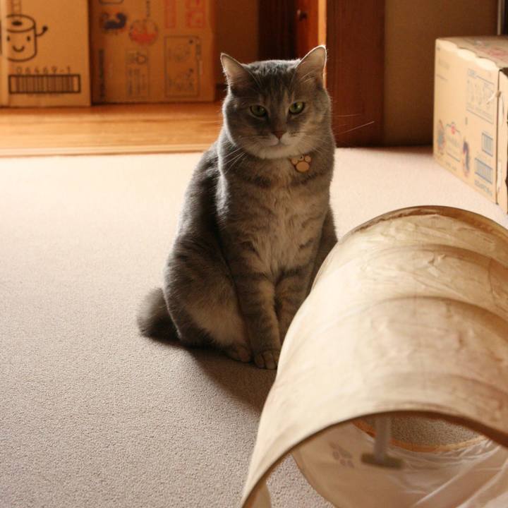 1cc507cf d26d 479b a0b2 ea56c5881afb 1569456121252