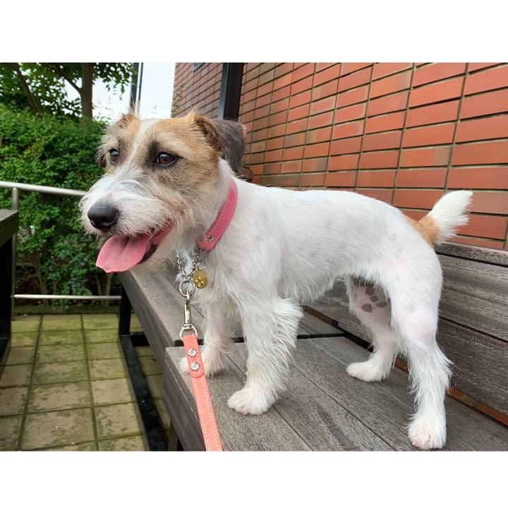 1cc50c4a d89a 4fac 9af4 d2dc37f41708 1593343842753