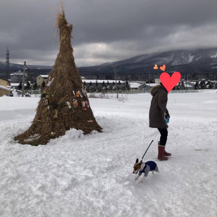 1cc52559 99fd 4d0b a213 3b5cfd3f1700 1547377997124