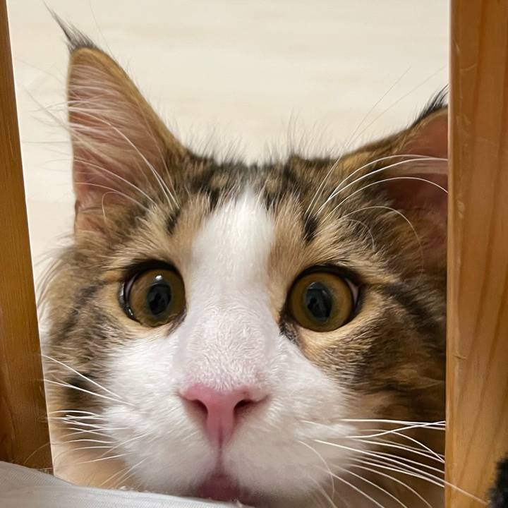 1cc541f2 e2bc 4a0b b037 1e8fedcd1b68 1638103845514