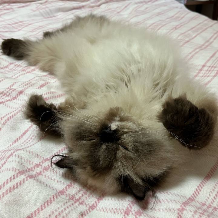 1cc54be8 3e48 4a78 92c2 09fc88bb0e35 1692333465880