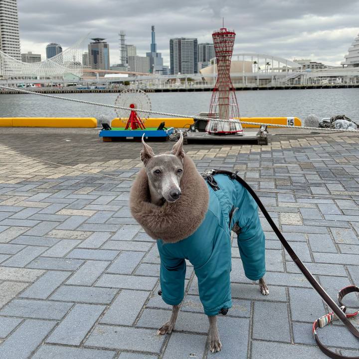 1cc5924d be0d 40c9 8d22 ed5761df9fef 1770714750075