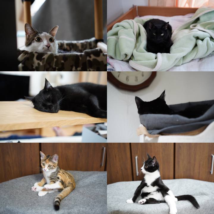 1cc594ee 8d7a 4916 8472 8617785166cd 1571025392409