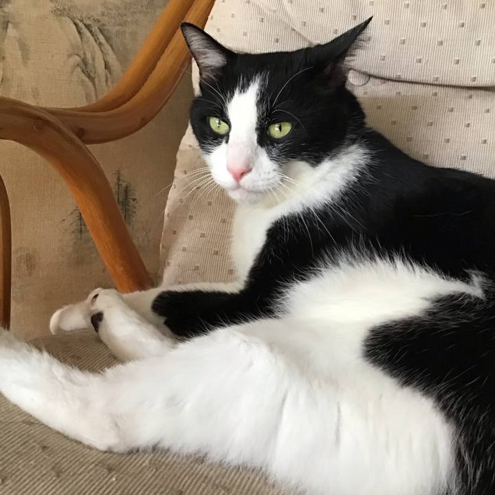 1cc5c41f 5bcc 4e54 b9c0 348de2f3bc1f 1757411933797