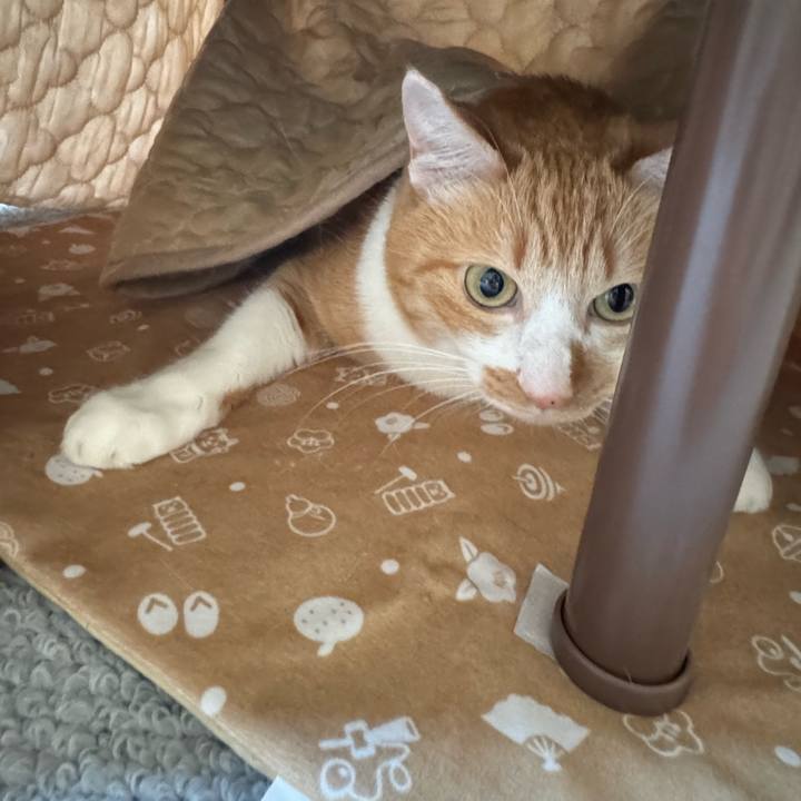 1cc5ccca 1af8 49b4 8e41 9882c15c937a 1768637899577