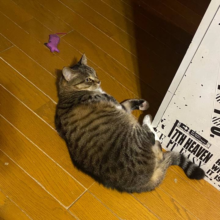 1cc5d3b2 229e 40c8 a40f 95541816fdd2 1639598498032