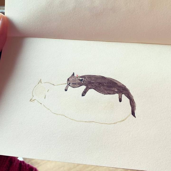 1cc5f88b dbe1 40c4 8d53 53a72c0fb959 1646437312646