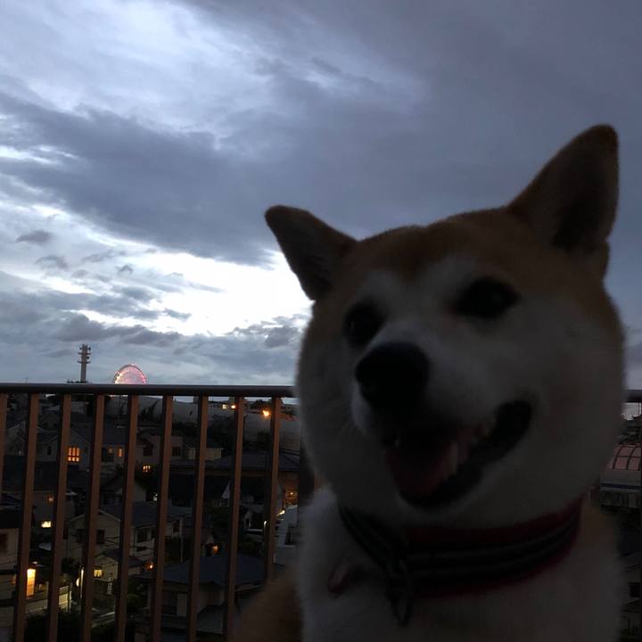 1cc66171 cd76 422a b350 bd24e3e11677 1535019610331