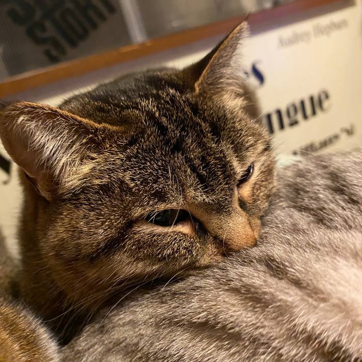 1cc674ea cd27 4041 a943 6d9004873a9e 1584287687064