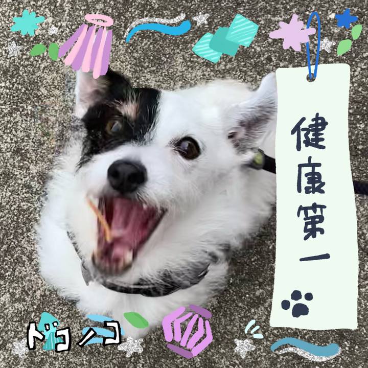 1cc6759d 0959 44f6 9636 5d6daddae4ba 1720779819432