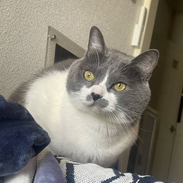 1cc69c36 aff9 4295 9bcc 5d2aa635e6d6 1739946192862