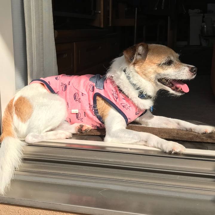 1cc6eb90 700f 4cee 9c9c 99c7db322a92 1567726535330