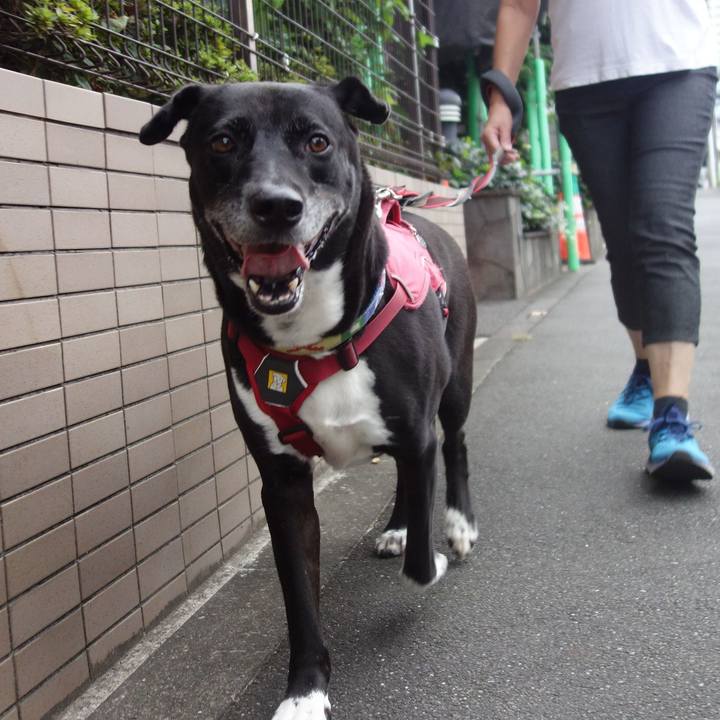 1cc6edf8 68c3 418a a6de 728727fa429f 1696121055471