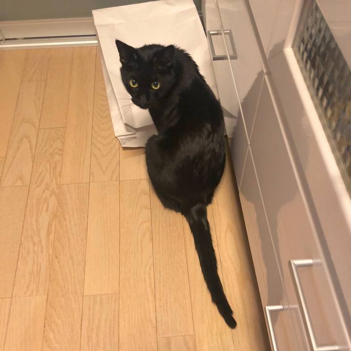 1cc6f098 5c81 4048 a626 5f60f888ee6b 1580821962896