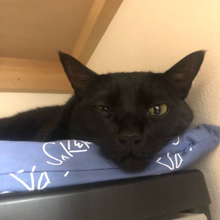 1cc6f269 8fd6 47be 8582 fa68aa540f48 1550671755867