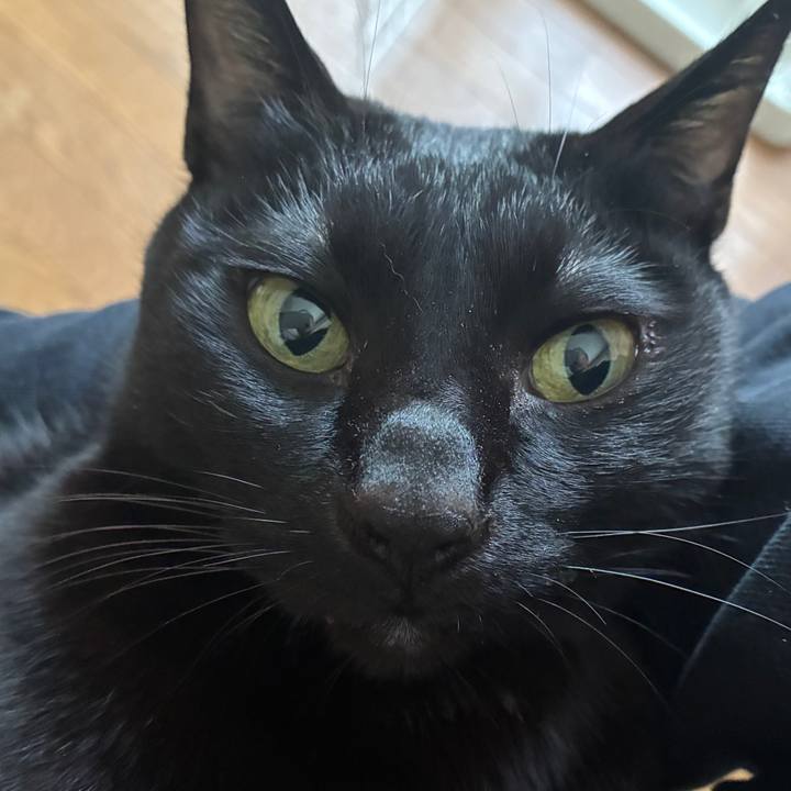 1cc6ff31 6688 4ba2 a951 514b3527daba 1769209892882