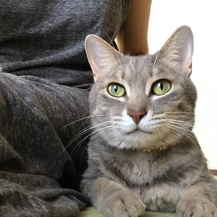 1cc71f5f 2257 4bfa bbce fb973ed9a369 1627264601995