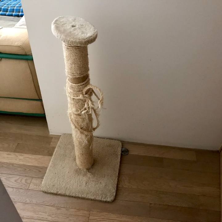 1cc7263a f0a0 4d0c b177 25e134d564af 1550640799235