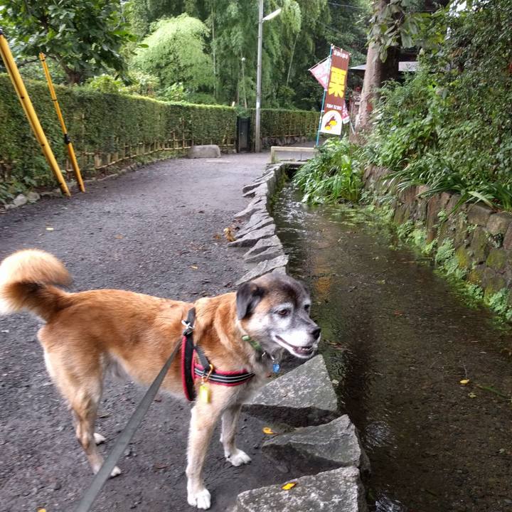 1cc77ca0 a714 4bf7 aa90 37cf737c7092 1535929158463