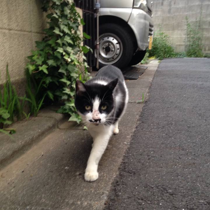 1cc780a6 60fb 4011 a9d7 7abf1341512c 1509629600158