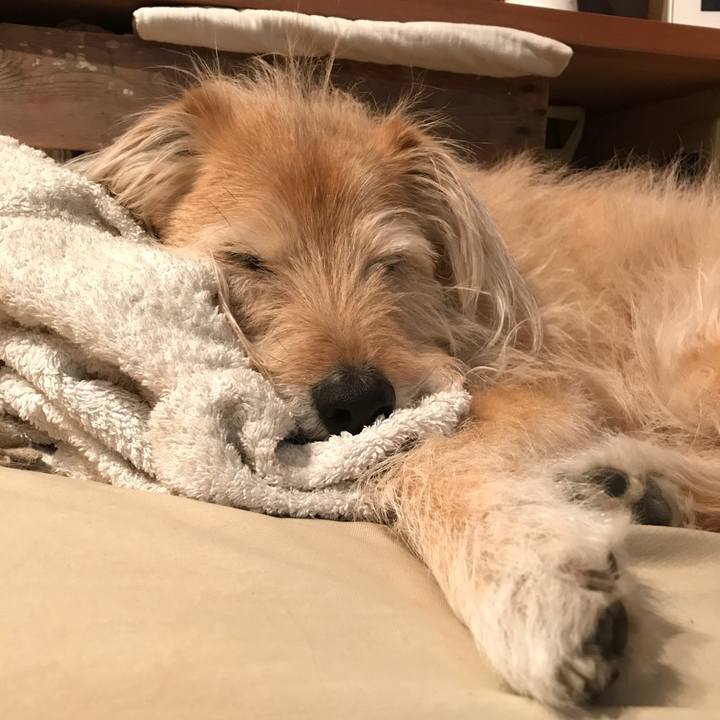 1cc7b4f9 6638 4b7a 814a 8826772f6b02 1551317081167