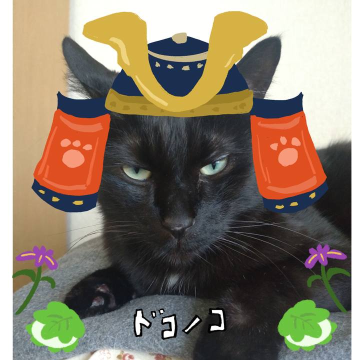 1cc7d565 a4ce 44a9 9c14 92e3e4a33c8b 1714882753611