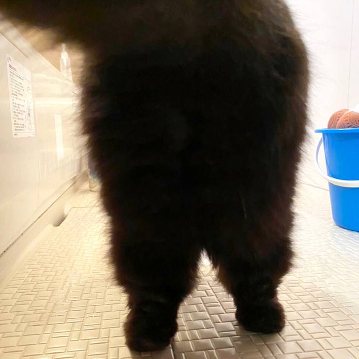 1cc857ab 8ecb 4c2b 94a8 0ba8ad4a8984 1577495756470