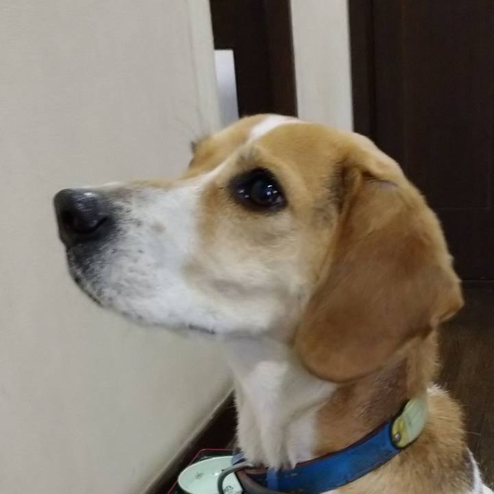 1cc87bfb dbd7 42ca b3c4 425d94d5862b 1614953588673