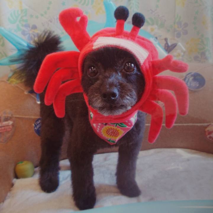 1cc87e6b 8010 42a6 99bf 30974862b519 1533365528589