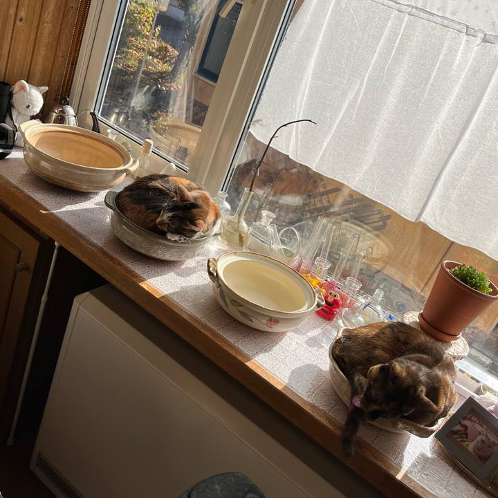 1cc8a997 c198 4af9 b052 90fcd776499d 1698727890158