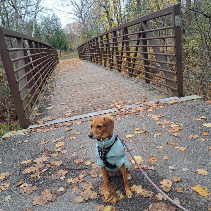 1cc8a9e3 98d6 4c97 81c2 e575e493f4e9 1763244637980