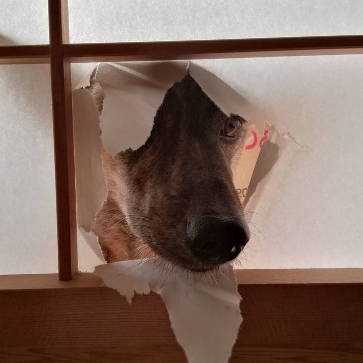 1cc8c6f8 6300 45e4 8512 c4d9f3476981 1537752507131