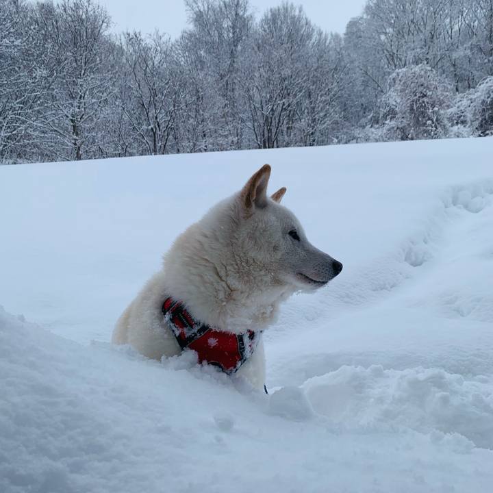 1cc8df47 c921 4e41 91eb 21f647c7036b 1641950760285