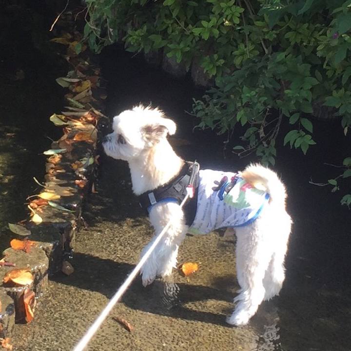 1cc8f802 0421 443a 92ac 3dc1283c21cd 1540206759495