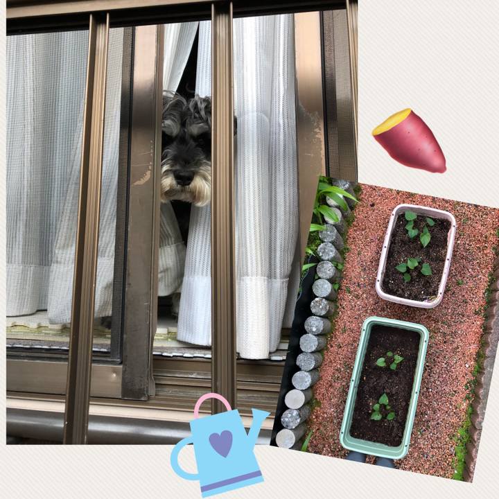 1cc936fe e6ee 42b2 a654 ffb7ee7721fb 1653833023709