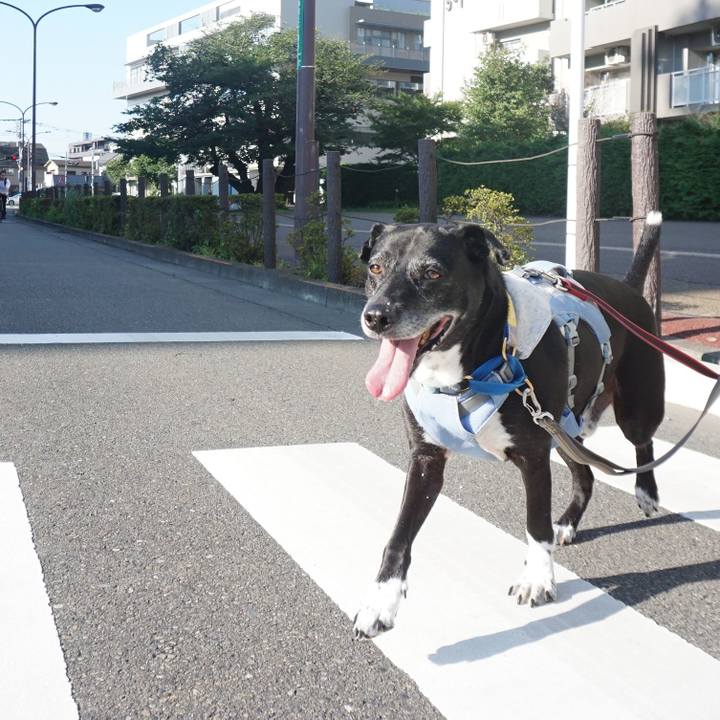 1cc94037 44b0 48ee b0c2 3e414f4000f7 1755216447363