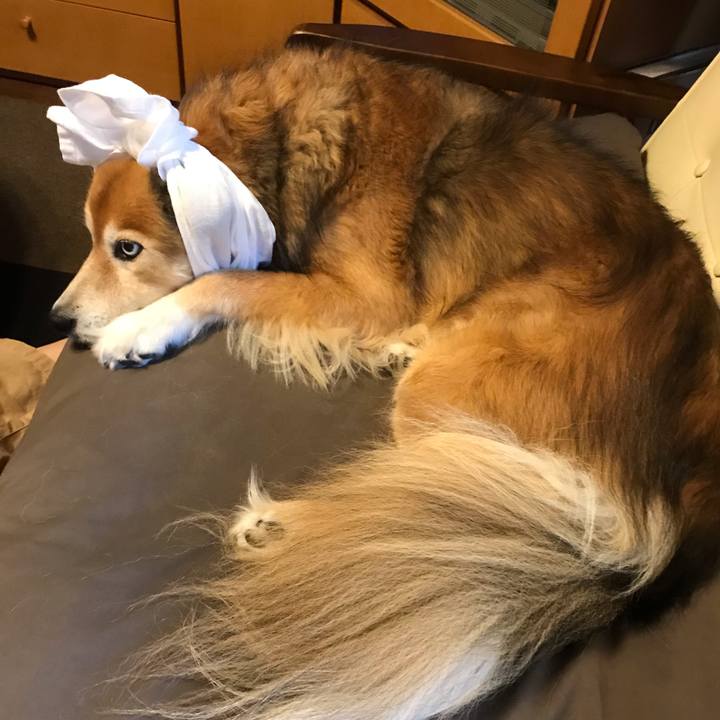 1cc956be f735 4168 8493 268ce2fab386 1597476522334