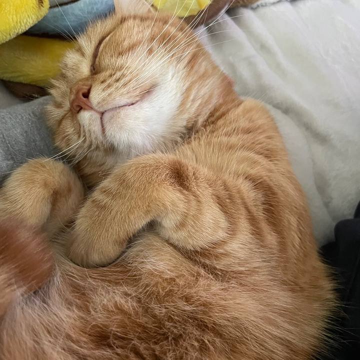 1cc98fa9 0c23 4038 ba68 551be2f9b710 1708304708533