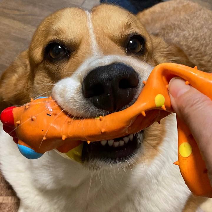 1cca1cee a7ab 4269 b253 96cdb1075f62 1684452314695