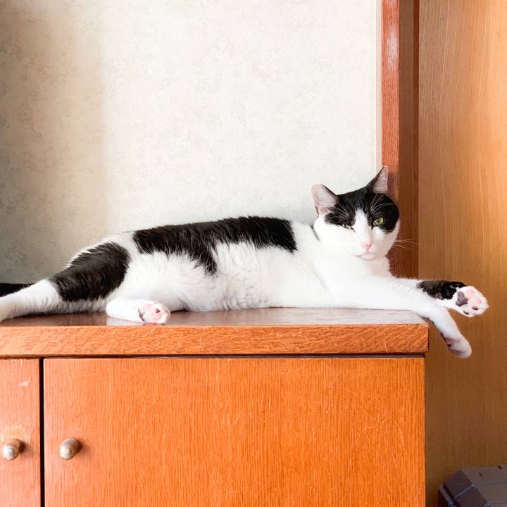 1cca571f e7b8 43b0 b40e e0e8285fa8ba 1571794384945