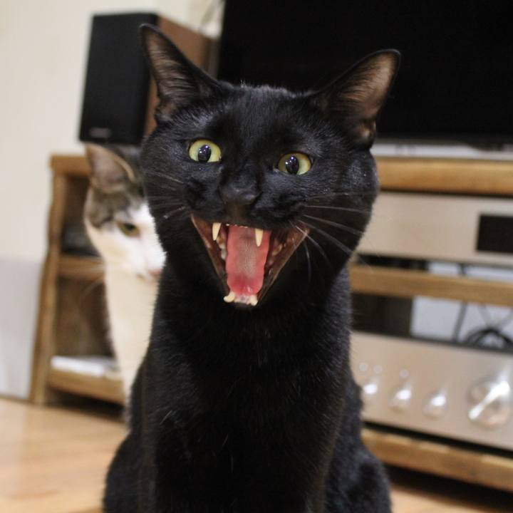 1cca6d01 395e 4a48 8441 5afd45e83153 1512101090787