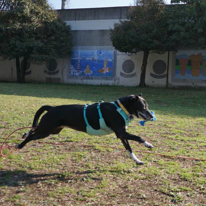 1cca8a6c 75bd 4760 a58a a80f2bf0e7bf 1774054991983