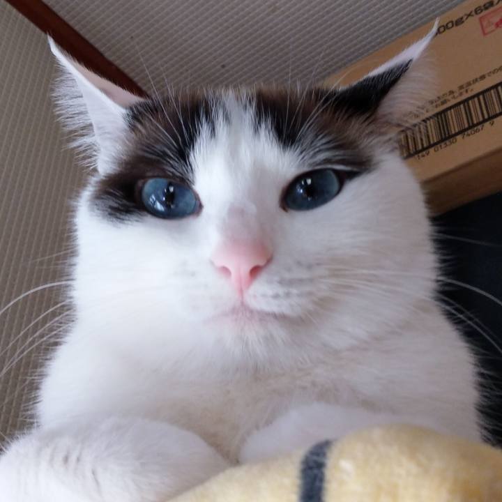 1ccaa815 f1e3 4d4a 894f 8c06b278e494 1552348113484