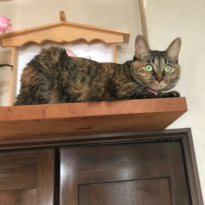 1ccae28a 4dfd 432b 8ecf 5e2b8cfb8030 1507704585421