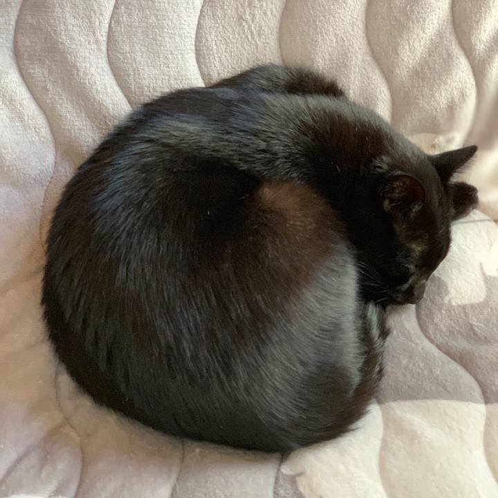 1ccafec2 7c52 4293 a323 b3f1cd1efd98 1540690857538